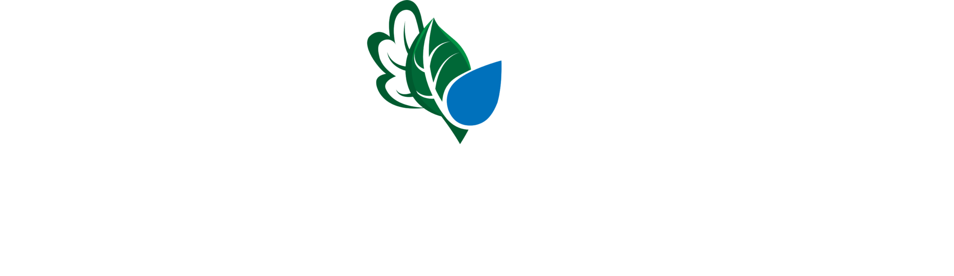 Top Tier Custom Landscape